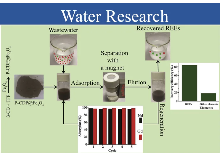 Porous and magnetic beta-cyclodextrin polymers selectively capturing rare-earth ions from industrial wastewater.